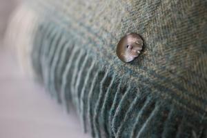 a button on the side of a green couch at Nether Abbey Hotel in North Berwick