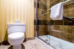 Koupelna v ubytování Sinbads Hotel & Suites