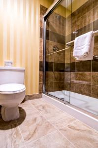 a bathroom with a toilet and a shower at Sinbads Hotel & Suites in Gander