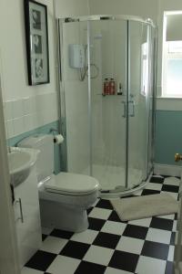 un bagno con wc e doccia in vetro di Bunlin Heights Self Catering Studio a Milford Altre 19 foto