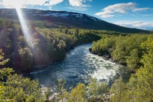 a river in the middle of a forest at Lovely house in Abisko in Abisko