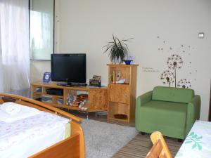 シャールヴァールにあるCsiga Apartmentのリビングルーム(テレビ、緑の椅子付)