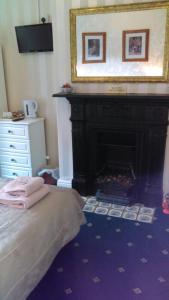 a bedroom with a fireplace and a bed and a tv at Hillcrest Guest House in Llangollen