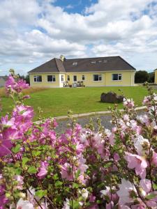 una casa amarilla con flores rosas delante en Tullaleagan Guesthouse, en Oughterard