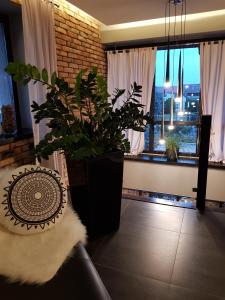 Afbeelding uit fotogalerij van Hotel Oaza in Golina