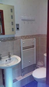 La salle de bains est pourvue d'un lavabo, de toilettes et d'un miroir. dans l'établissement Hillcrest Guest House, à Llangollen