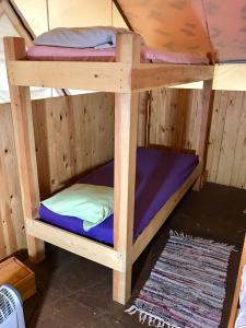 two bunk beds in a room with a rug at Sven's Basecamp Hostel in Fairbanks