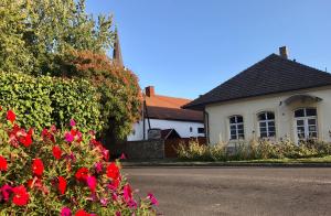 a house with red flowers in front of a street at Origo Vendégház in Sárospatak