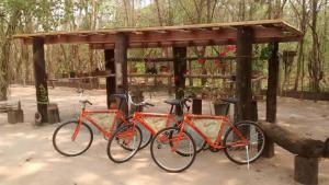 dos bicicletas están estacionadas bajo una estructura de madera en Eco Pousada Sinimbu, en Cáceres