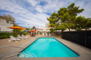 een zwembad in een tuin met stoelen en bomen bij Downtowner Boutique Hotel in Las Vegas