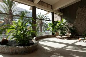 Vonkajšia záhrada v ubytovaní Hotel LIVVO Valle Taurito & Aquapark