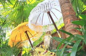 Ein Garten an der Unterkunft Nike Villas