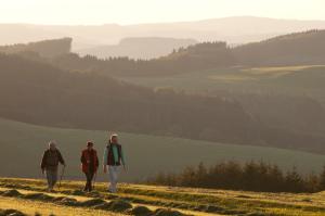 eine Gruppe von drei Menschen, die auf einem Hügel spazieren in der Unterkunft Wüllner's Landgasthof in Schmallenberg