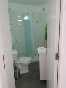 ein Bad mit einem WC, einem Waschbecken und einer Dusche in der Unterkunft Casas Blancas Las Tortugas in Playa de las Americas