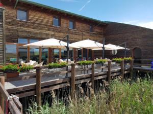 Zahrada ubytování Hotel Caneo