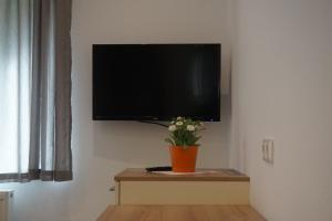 TV/Unterhaltungsangebot in der Unterkunft Gösserhof