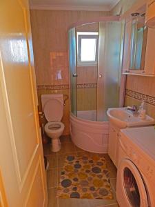 a bathroom with a toilet and a shower and a sink at Apartmani Sindik in Tivat