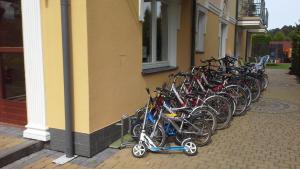 Jazda na bicykli v okolí ubytovania VILLA DORA - CENTRUM, BASEN 5m x 10m, Plac zabaw, Parking
