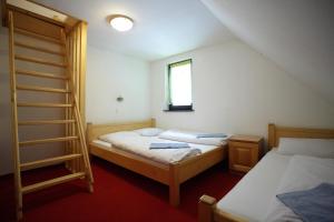 a bedroom with two beds and a ladder at Apartments BellaMonte Vlašić in Vlasic