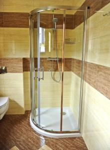 a glass shower in a bathroom with a toilet at Villa Carmen in Międzywodzie