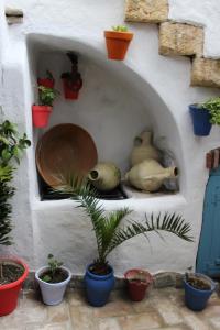 Fotografie z fotogalerie ubytování Vivienda de Alojamiento Rural Casa Naty v destinaci Vejer de la Frontera