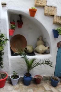 una pared blanca con algunas plantas y algunas ollas en Vivienda de Alojamiento Rural Casa Naty, en Vejer de la Frontera