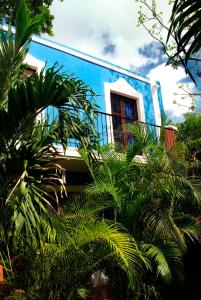 Zahrada ubytování Hotel Hacienda Mérida