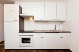 Kuchyň nebo kuchyňský kout v ubytování Ferienhaus Auer