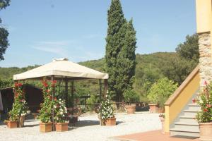 Zahrada ubytování Agriturismo Spazzavento
