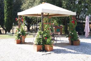 Zahrada ubytování Agriturismo Spazzavento