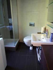 a bathroom with a toilet and a sink and a shower at Marcelo Deluxe Apartment in Tihany