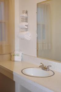 La salle de bains est pourvue d'un lavabo, d'un miroir et de serviettes. dans l'établissement Trees Motel, à Bishop