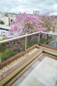 Balkón nebo terasa v ubytování Hospedaria Rofamos