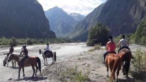 Altri animali domestici presso il campeggio o nei dintorni