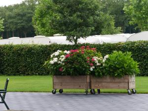 Zahrada ubytování B&B bij de 3 linden