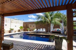 a pool with chairs and a palm tree in a yard at Casa Colina Pipa in Pipa
