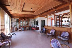 a room with chairs and a bar with a dog in it at Lofos Hotel in Plakias