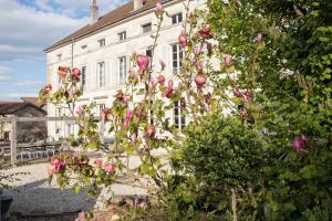 a bunch of pink flowers in front of a building at Joie de Vivre in Doulevant-le-Château