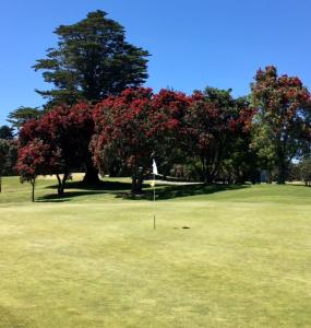 a golf course with red trees and a flag in the grass at Mauao Studio in Mount Maunganui