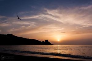 a bird flying over the ocean at sunset at Villa Crawford in San Nicola Arcella