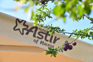 a sign for a museum of magic in a tree at Astir Of Naxos in Naxos Chora