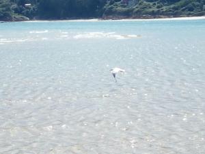 Gallery image of Hospedaxe Don Manuel in O Vicedo +45 photos