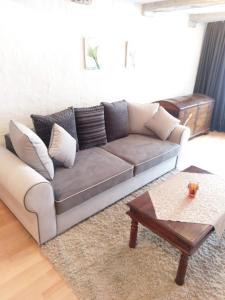 un soggiorno con divano e tavolino da caffè di Babette Apartments a Lubecca