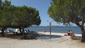 Fotografie z fotogalerie ubytování Apartments Markov v destinaci Zadar