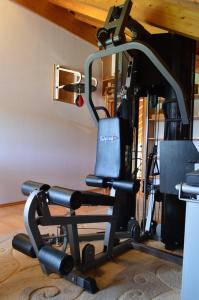 Fitness centrum a/nebo fitness zařízení v ubytování Ferienhaus Eifel