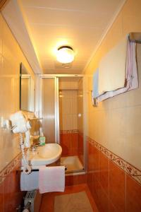ein Bad mit einem Waschbecken und einer Dusche in der Unterkunft Appartements Wirnsperger in Großarl