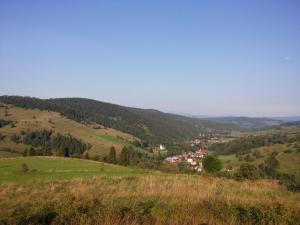 Príroda v okolí horskej chaty