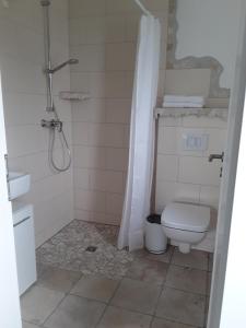 een badkamer met een toilet en een douche bij Pöhl am Nationalpark Eifel in Schleiden