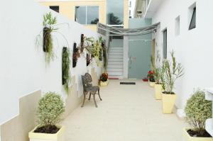 Fotografie z fotogalerie ubytování Hotel Novoleste v destinaci Senhor do Bonfim