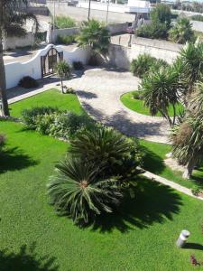 een uitzicht over de tuin met palmbomen bij Le Schiavelle in Surbo